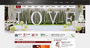 北京網(wǎng)站建設(shè)與推廣 案例展示與整合營銷實(shí)踐