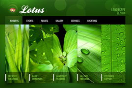 運(yùn)用色輪原理優(yōu)化北京網(wǎng)站建設(shè)中的網(wǎng)頁設(shè)計(jì)